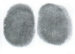 fingerprintbbr