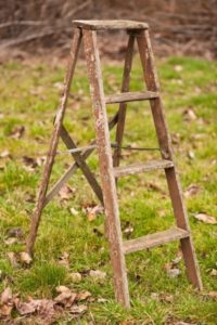 17813875 - an old, weathered, wood ladder in a field of grass.