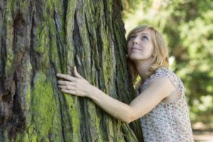 15451085 - woman hugging large tree trunk while looking up