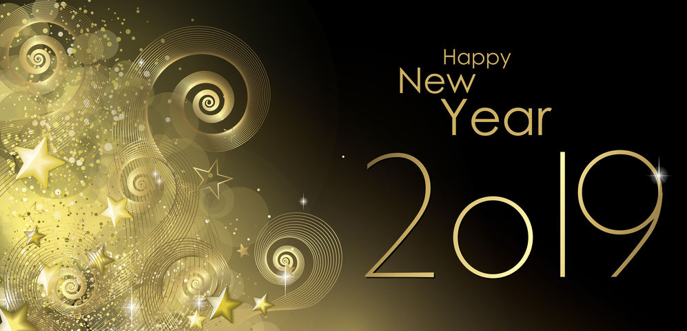 Happy New year 2019 greeting card vector